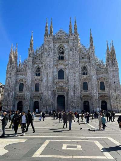 Rhodesian Ridgeback-Beitrag-Bild