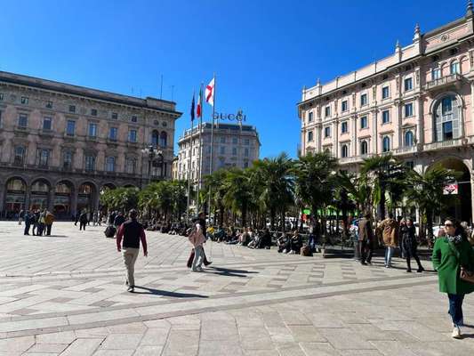 Rhodesian Ridgeback-Beitrag-Bild