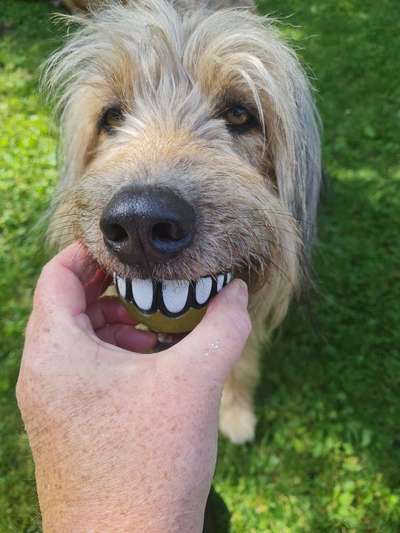 Handy-foto Challange nr. 11-Beitrag-Bild