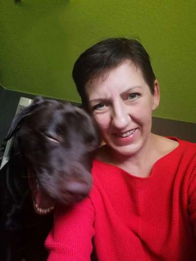 Dogorama Photo Challenge - Selfie Time!-Beitrag-Bild