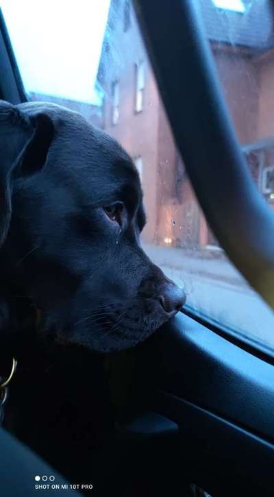 117. Fotochallenge-Beitrag-Bild