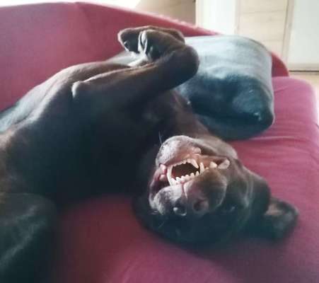 Das beste grinsefoto-Beitrag-Bild