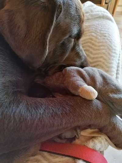 CHALLENGE NR. 34 - Liege-/Schlafpositionen-Beitrag-Bild