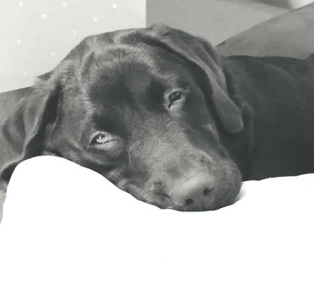 Foto-Challenge 76: Foto in Schwarz-Weiss-Beitrag-Bild