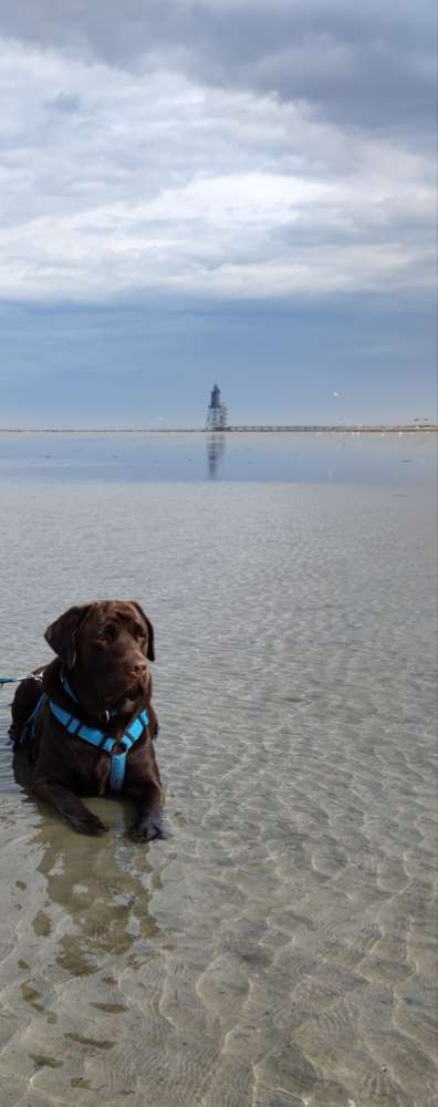 118. Fotochallange-Beitrag-Bild