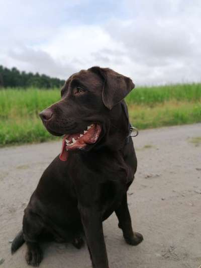 Fotochallenge Nr. 47 - Zeigt die Zähne-Beitrag-Bild