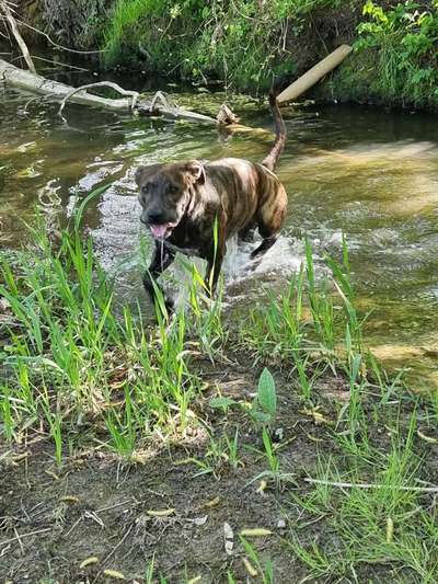 Theos Fotochallange Nummer 4-Beitrag-Bild