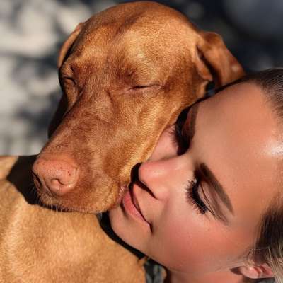 Hundetreffen-Sozial Walk-Profilbild