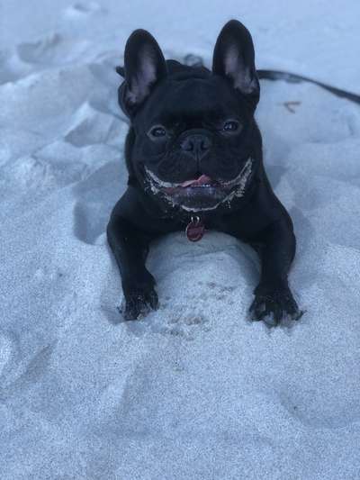 Das beste grinsefoto-Beitrag-Bild