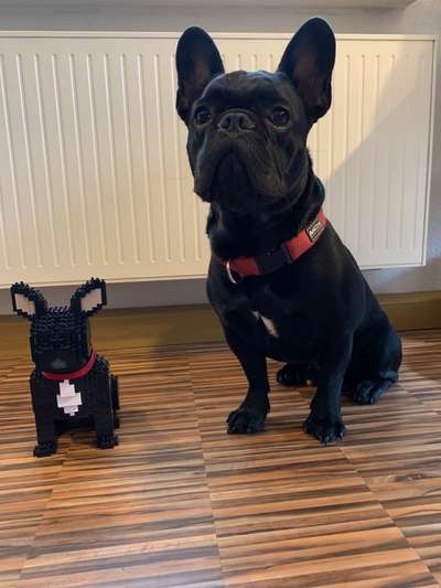 Fotochallenge 88-Beitrag-Bild