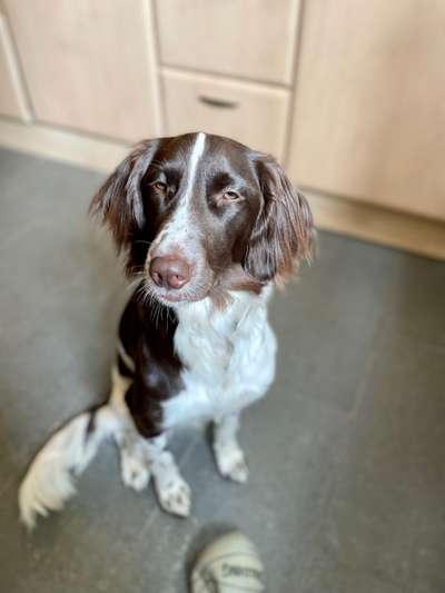 Trainingserfolge-Beitrag-Bild