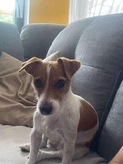 Fotochallange Nr. 57     PORTRÄT.   Beendet!!!!!!!!-Beitrag-Bild