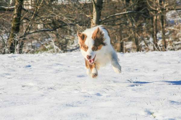 Wenn man sich trennen muss-Beitrag-Bild