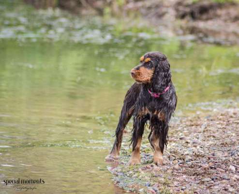 Fotochallenge No. 26                                     Wald und Wiese-Beitrag-Bild