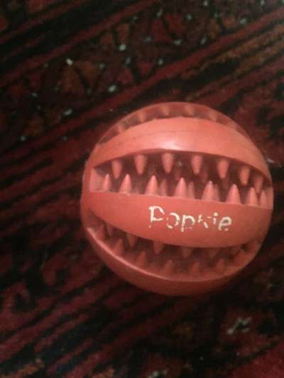 Kong Alternativen - Tipps gesucht-Beitrag-Bild