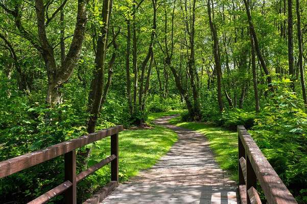 Hundeauslaufgebiet-Kurpark Spiekeroog-Bild