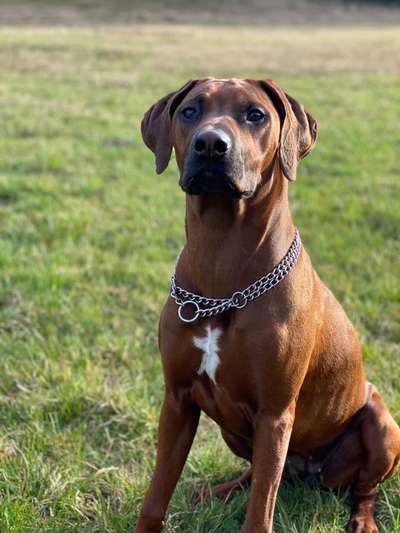 Zeigt eure Portraits-Beitrag-Bild