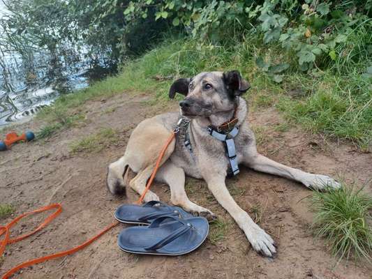 Warum bloss?-Beitrag-Bild