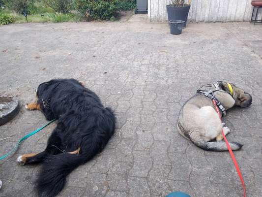 Aufdringliches Verhalten-Beitrag-Bild