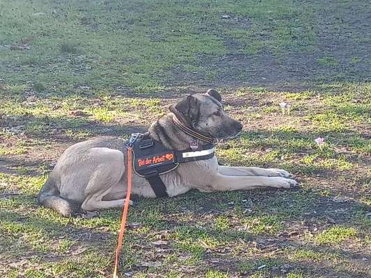 Auf einmal bekomme ich Angst-Beitrag-Bild