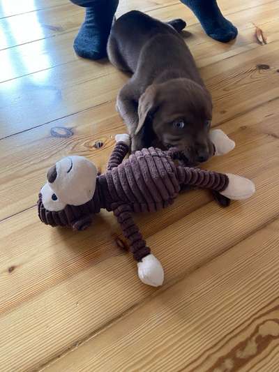 Erstes Bild-Beitrag-Bild