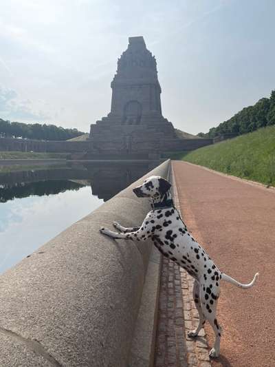 Lieblingsbild-Beitrag-Bild