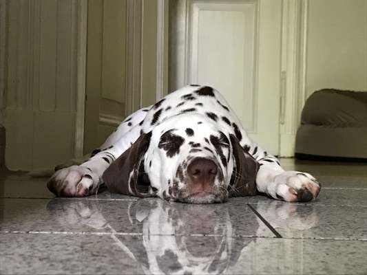 Lieblingsbild-Beitrag-Bild