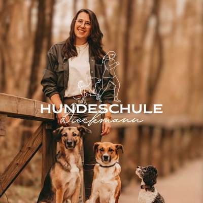 Hundeschule Hundeschule Dieckmann in Dortmund Aplerbeck – Dogorama