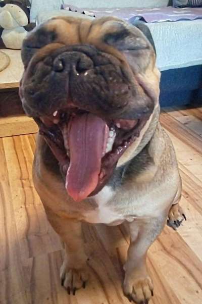 Fotochallange Nr. 57     PORTRÄT.   Beendet!!!!!!!!-Beitrag-Bild