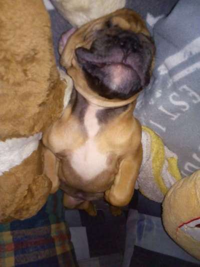 Schlafzeit!💖-Beitrag-Bild