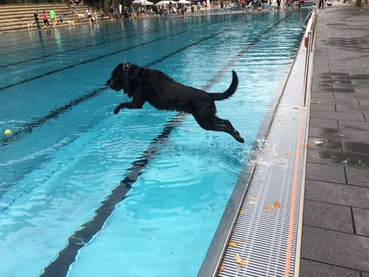 FOTOCHALLANGE NR.71 BADEFREUDE-Beitrag-Bild