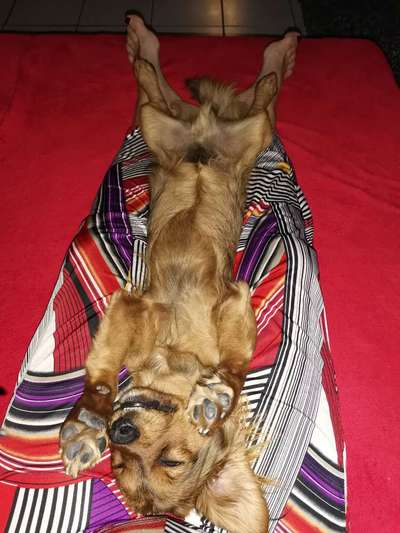 Die unbequemsten und lustigsten Schlafpositionen-Beitrag-Bild