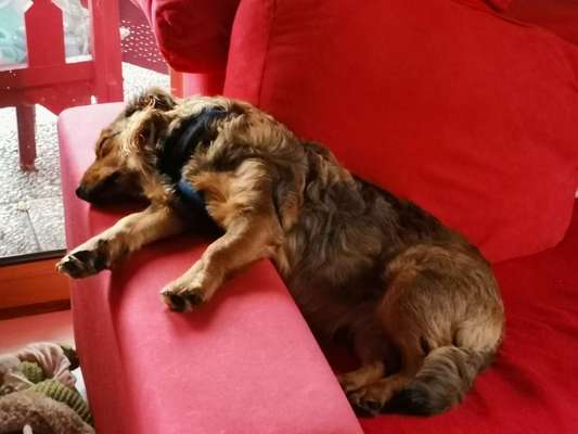 Die unbequemsten und lustigsten Schlafpositionen-Beitrag-Bild