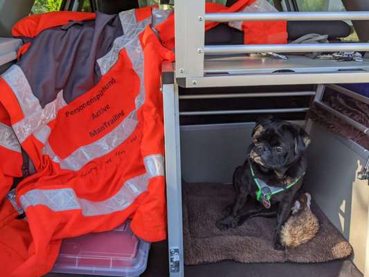 Die Dogorama Wochen Challenge-Beitrag-Bild