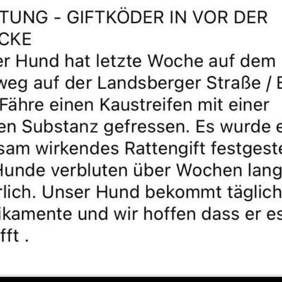 Giftköder-Giftköder-Bild