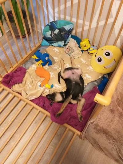 Foto Challenge Nr. 134-Beitrag-Bild