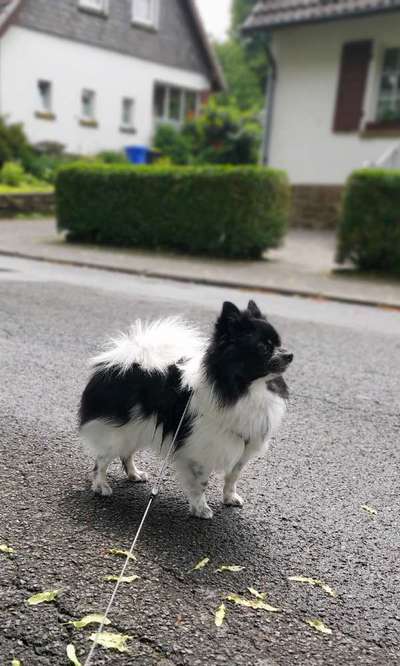 Lieblingsbild-Beitrag-Bild