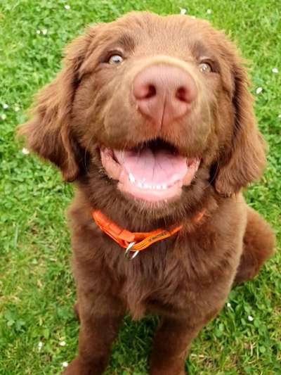 Fotochallange Nummer 5-Beitrag-Bild