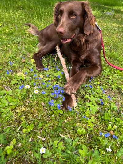 Fotowettbewerb Natur-Beitrag-Bild