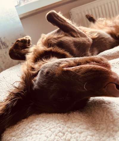 Foto Challange Nr.80-Beitrag-Bild