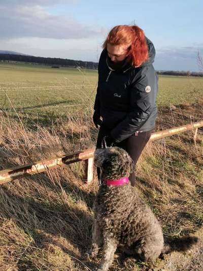 Mischlinge raten - Rätselspaß-Beitrag-Bild