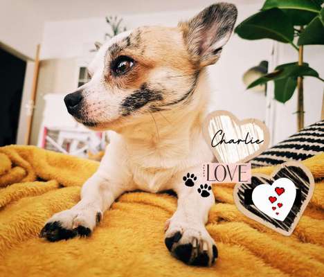 147. Foto Challenge: Bettelblick-Beitrag-Bild