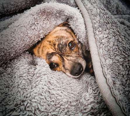 147. Foto Challenge: Bettelblick-Beitrag-Bild