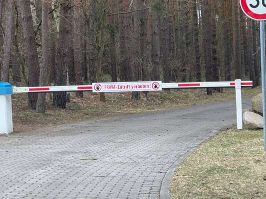 Hundeauslaufgebiet-Strasen-Bild