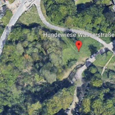 Hundeauslaufgebiet-Ehrenfeld Wiesental-Bild