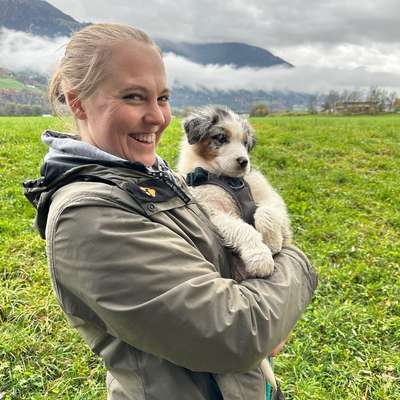 Hundetreffen-Spazier- und Trainingstreffen-Profilbild