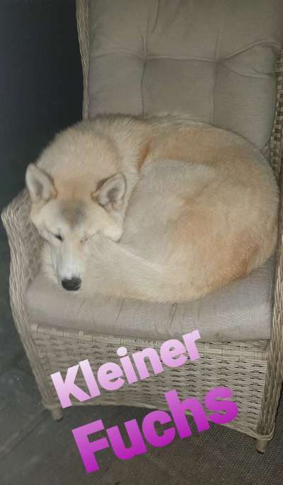 Lieblingsbild-Beitrag-Bild