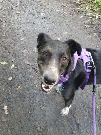 Zeigt mir doch mal eure Dreckspätze-Beitrag-Bild