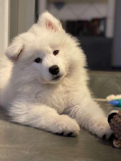 Fotochallange Nr. 57     PORTRÄT.   Beendet!!!!!!!!-Beitrag-Bild