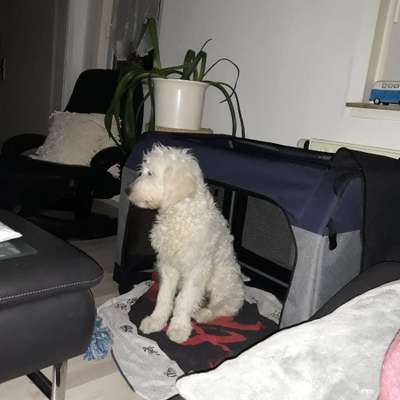 Lieblingsbild-Beitrag-Bild